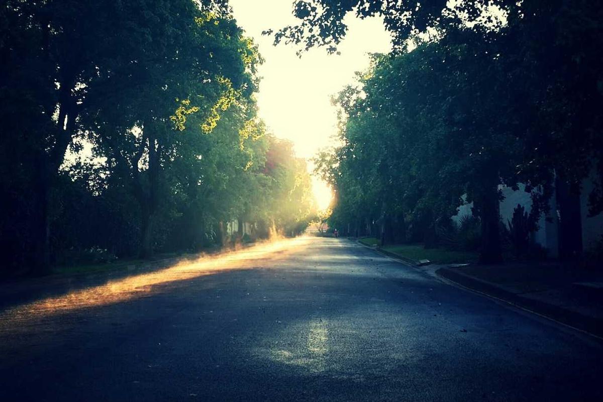 Nutrition and Diet for Mesothelioma Patients