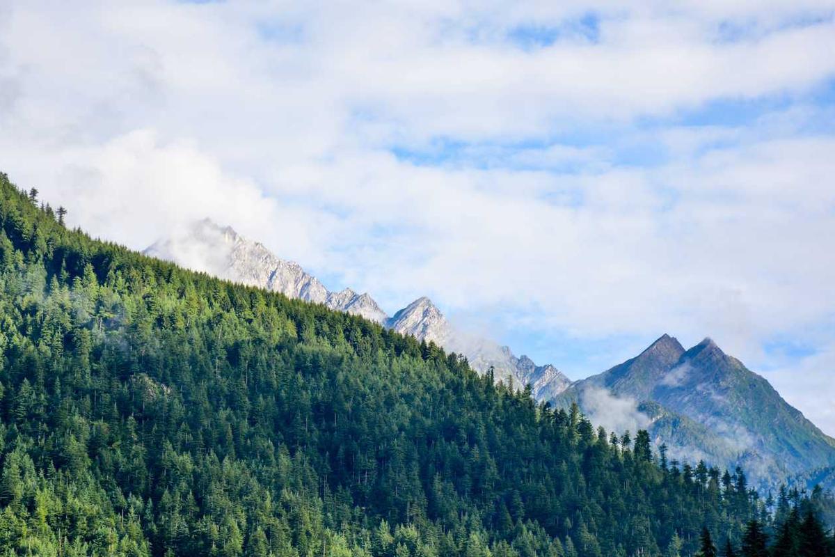 Quality of Life Measures for Mesothelioma Patients