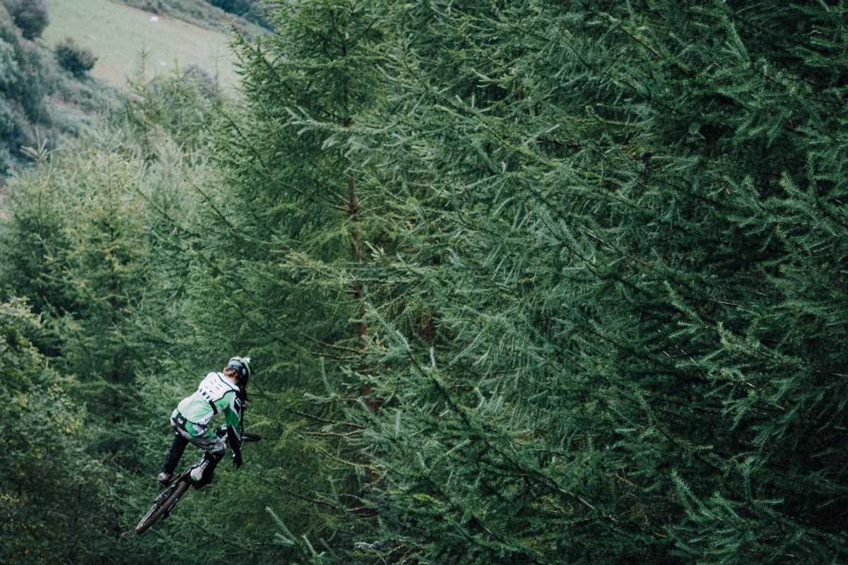 Mesothelioma and Liver Health: Organ Function Concerns