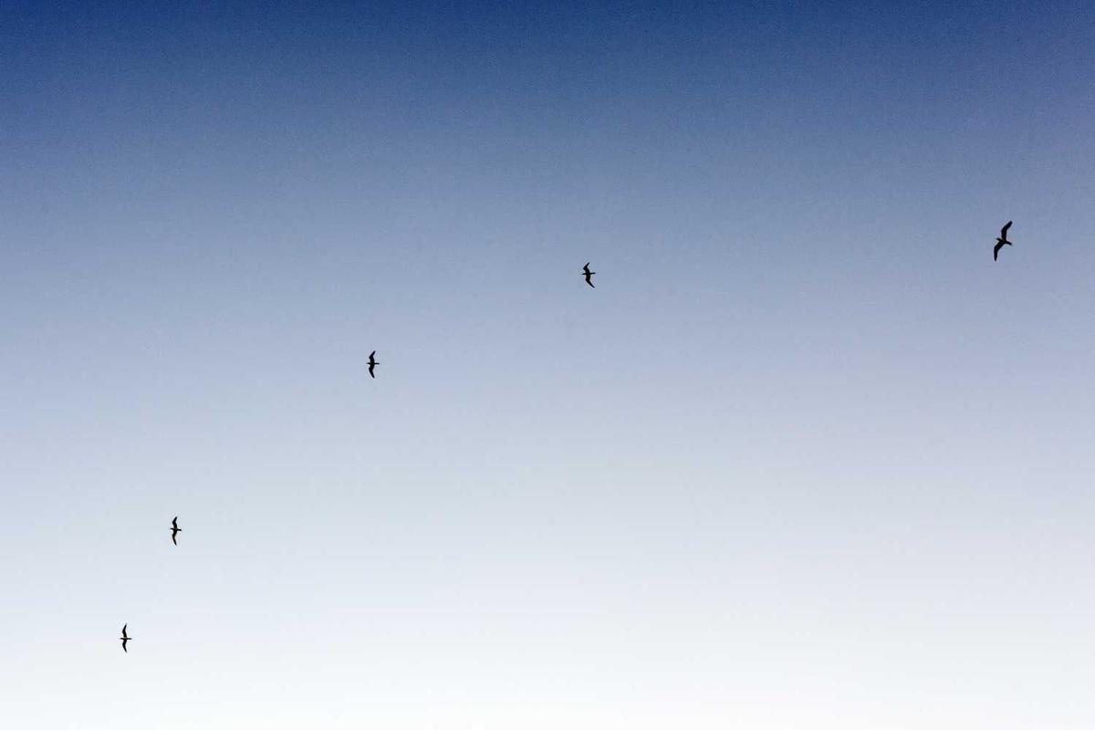 Mesothelioma and Weight Loss: Nutritional Challenges