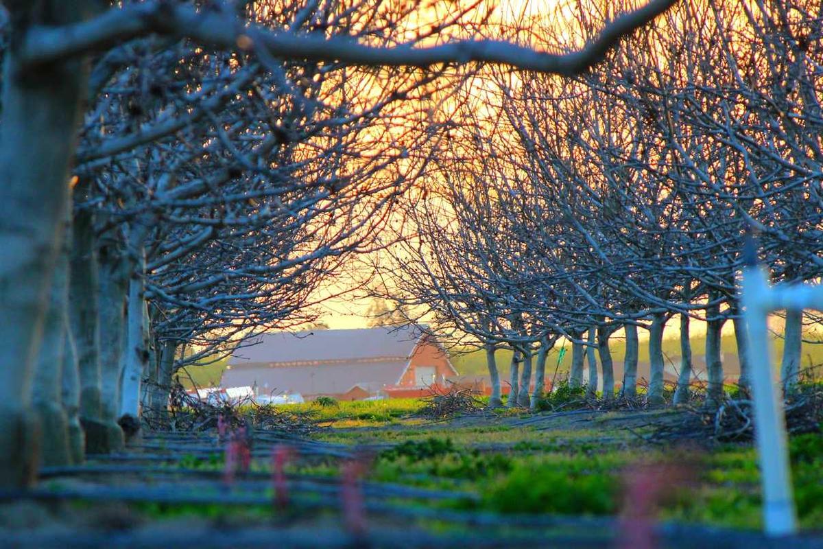 Mesothelioma and Disability: Benefits and Support