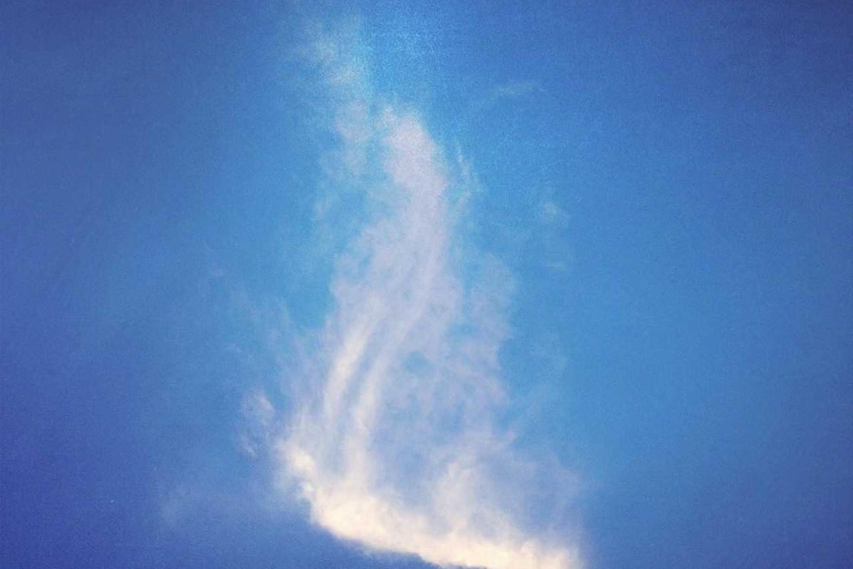 Mesothelioma Advocacy: Making Your Voice Heard